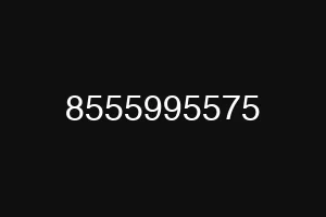 8555995575