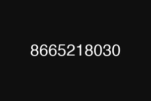8665218030