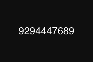 9294447689