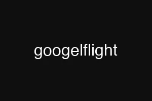 googelflight